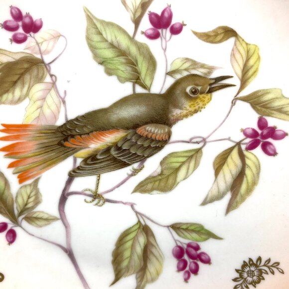 Set 2 Mitterteich Bavaria Germany 7.5" Decorative Bird Plates with Gold Accents - Picture 4 of 12